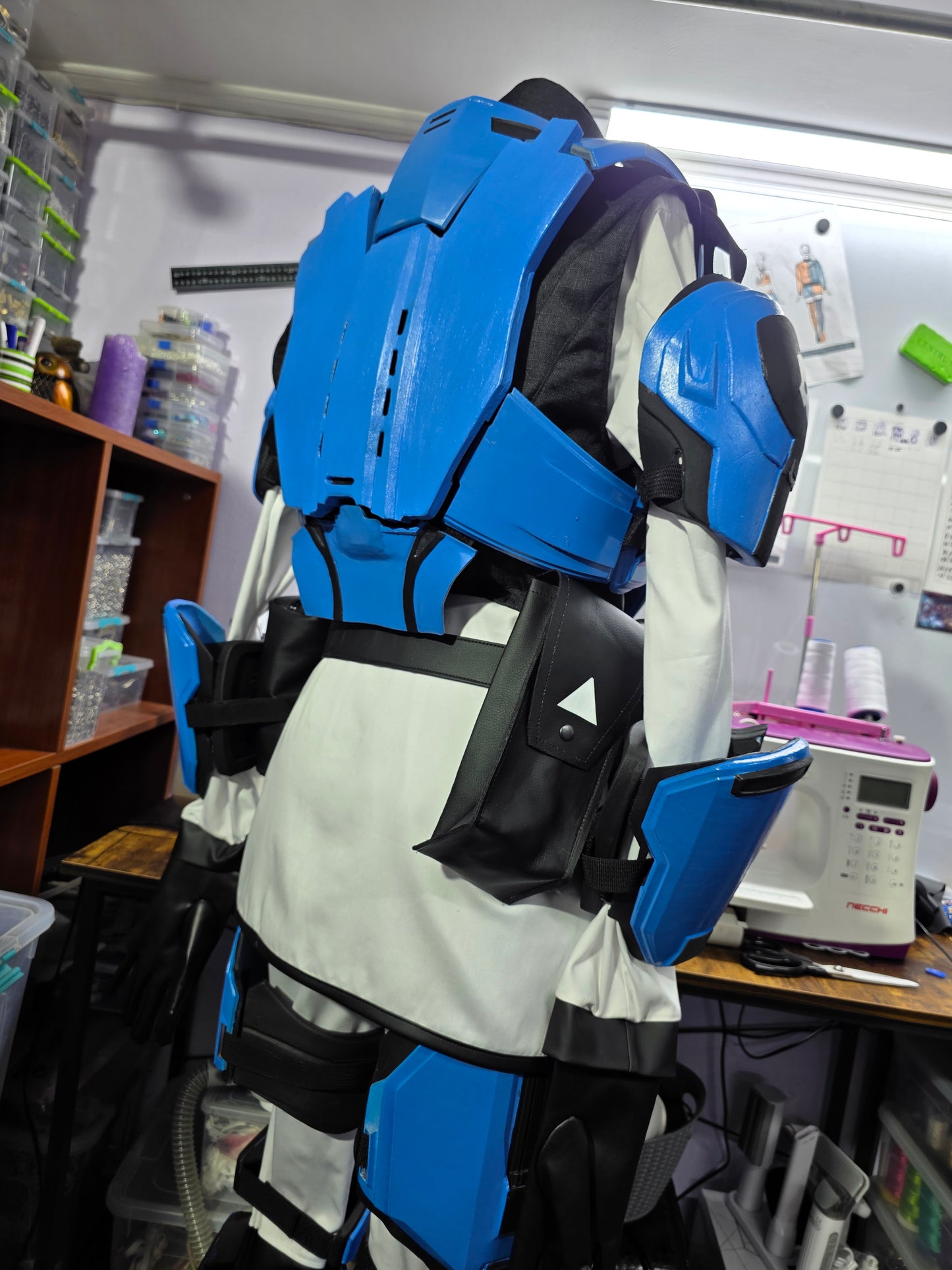 Ambassador of the Brand Helldivers II