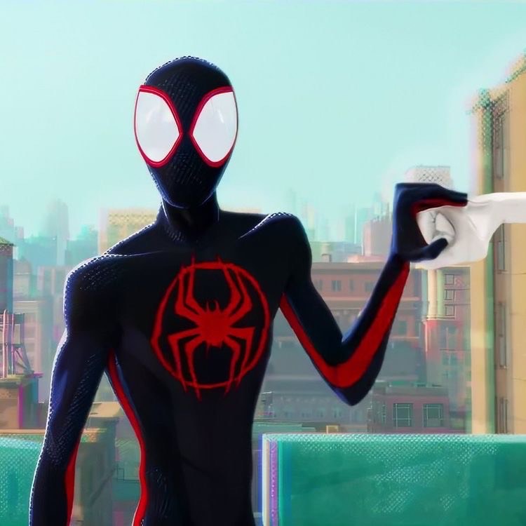 Spider outfit / spider man cosplay (pre-order)