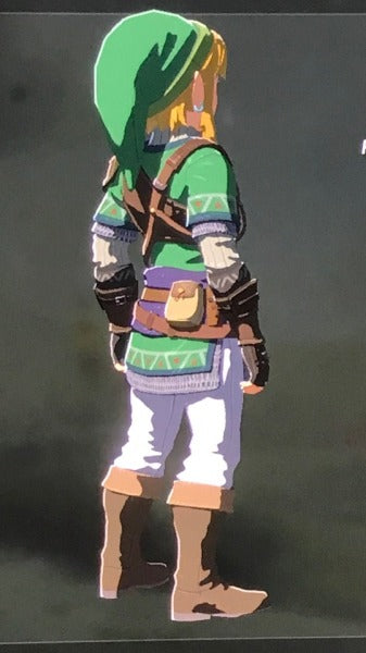 Link outfit from Legend of Zelda tears of the kingdom (pre-order)