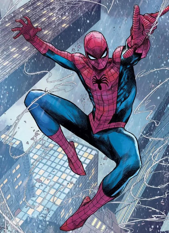 Spider outfit / spider man cosplay (pre-order)