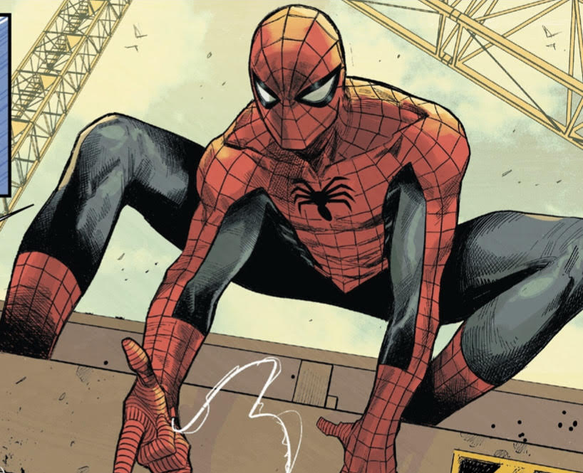 Spider outfit / spider man cosplay (pre-order)