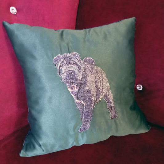 Custom emboidered pet pillow / personalized pillow