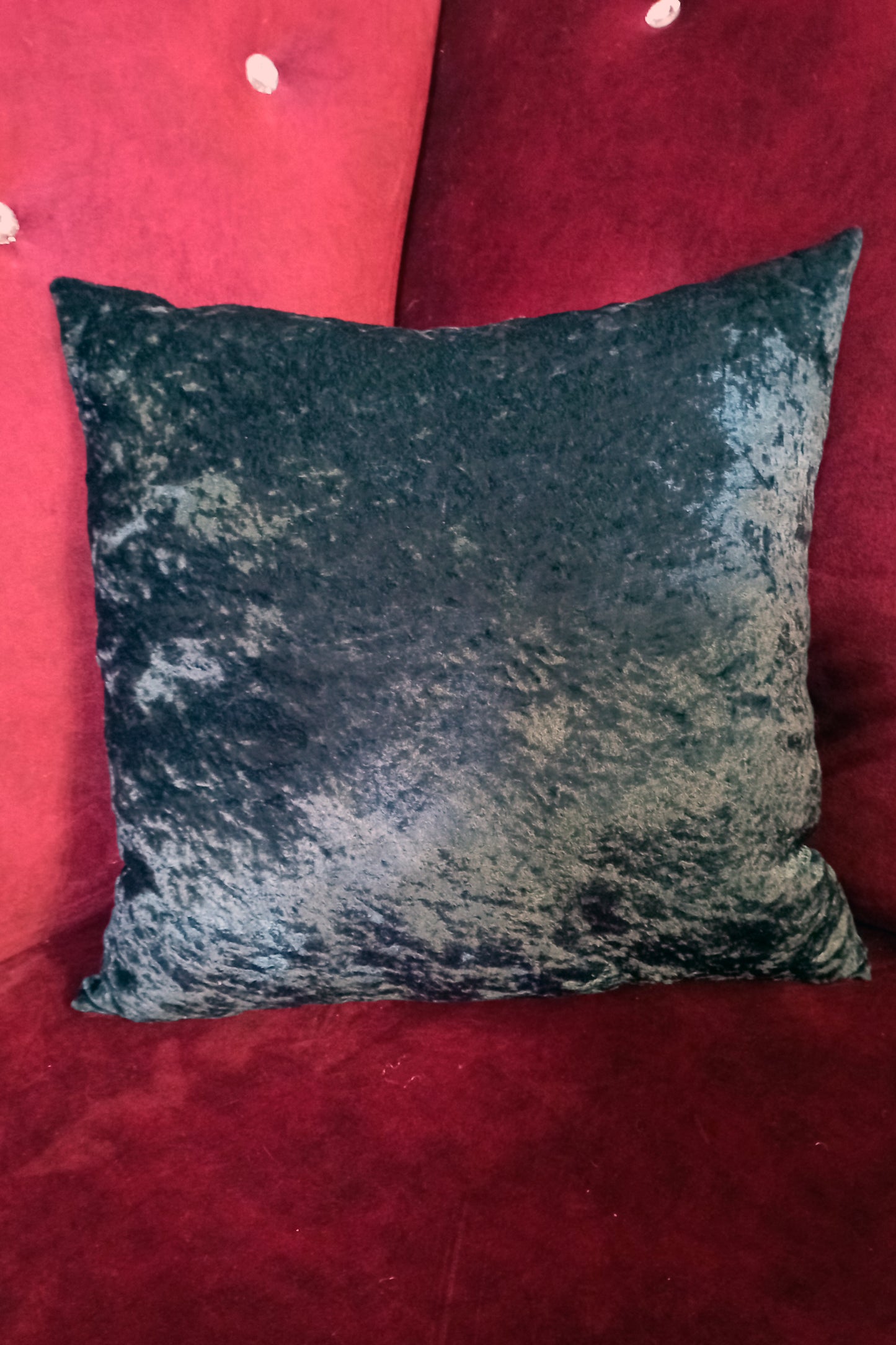 Custom emboidered pet pillow / personalized pillow