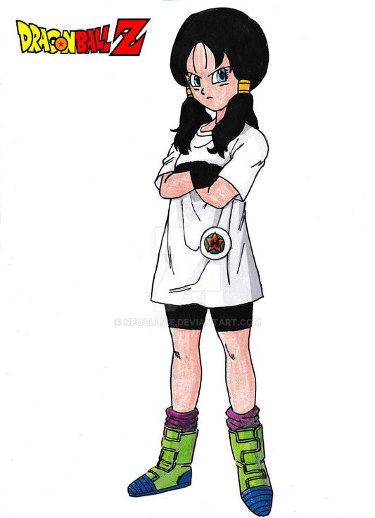 Videl cosplay (pre-order)
