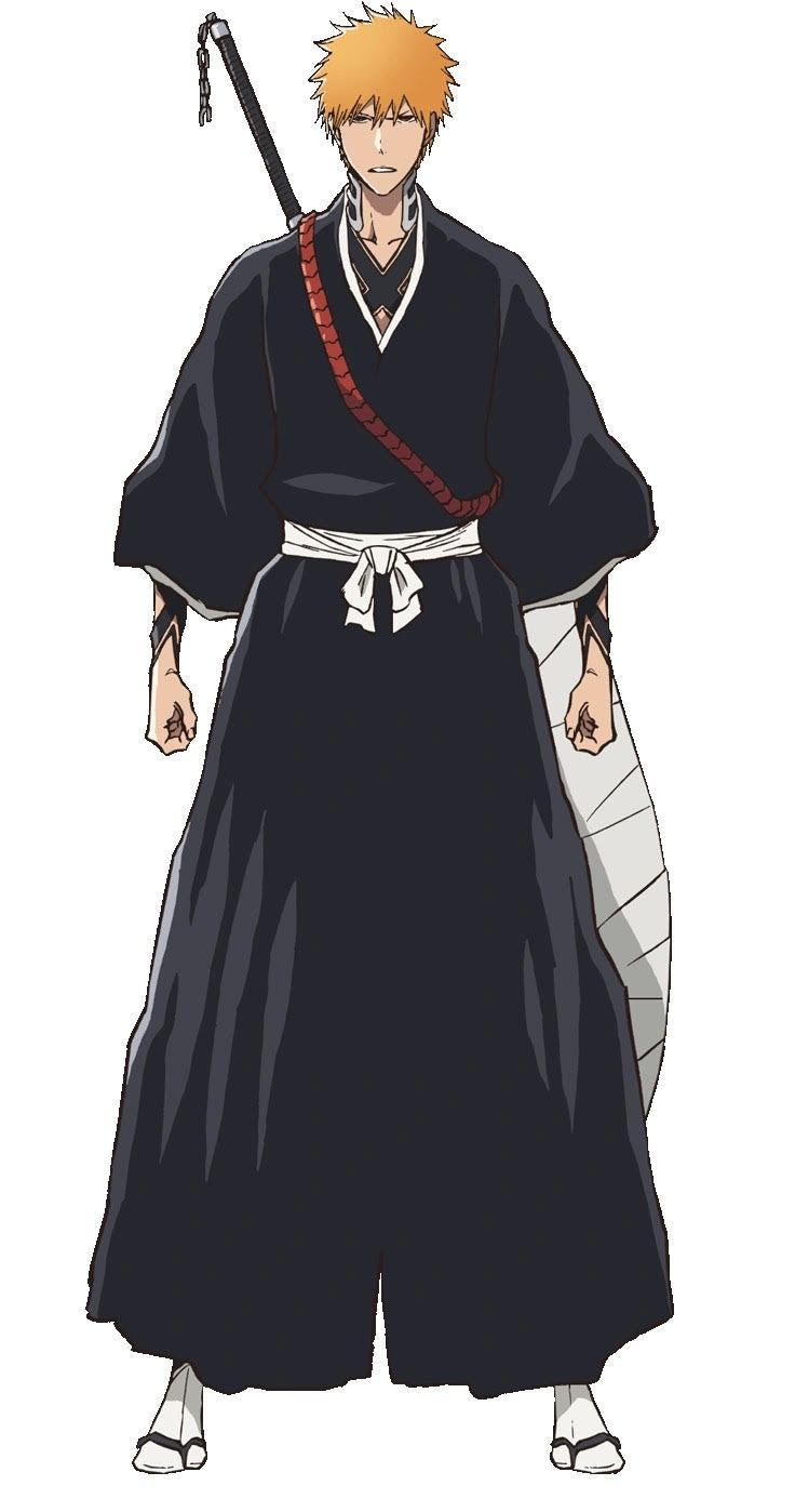 Ichigo Kurosaki cosplay