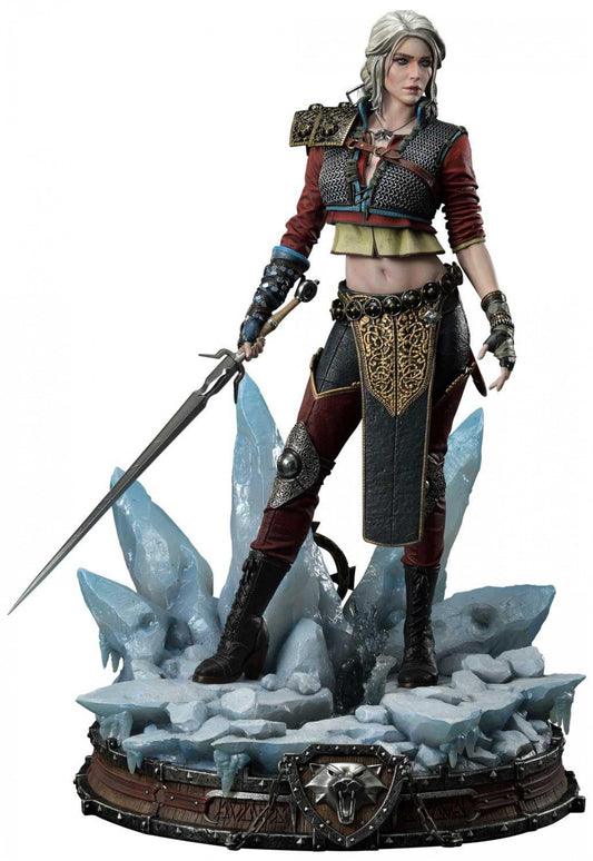 Ciri from The Witcher cosplay outfits / cosplay dress (pre-order)